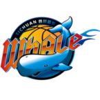 四川锦城后备队